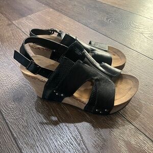 Pierre Dumas wedges